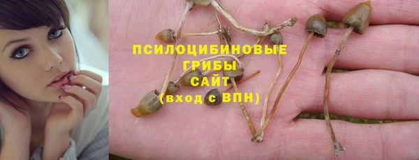 скорость Кукмор