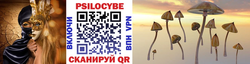 Псилоцибиновые грибы MAGIC MUSHROOMS  Купить  Бирюсинск 